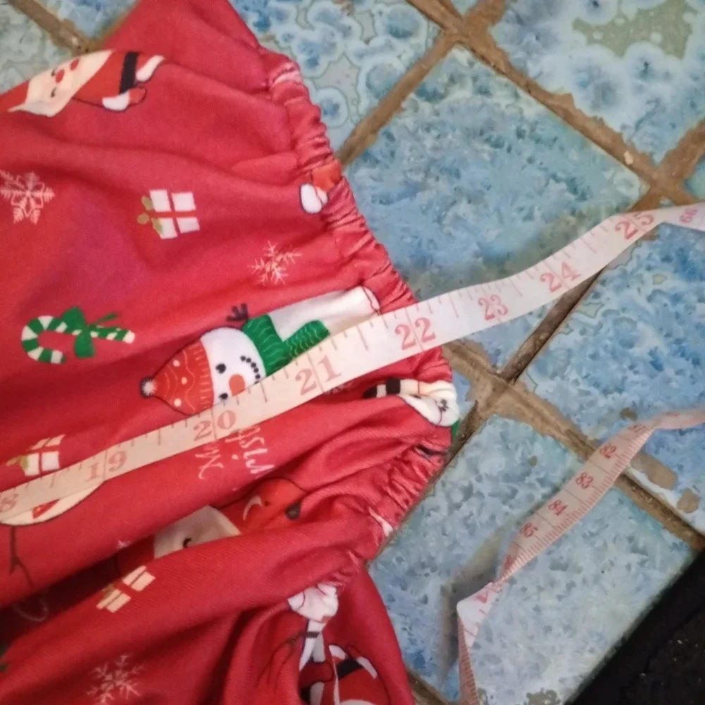 Christmas doggy outfit NWOT